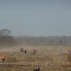2009 Ostercross